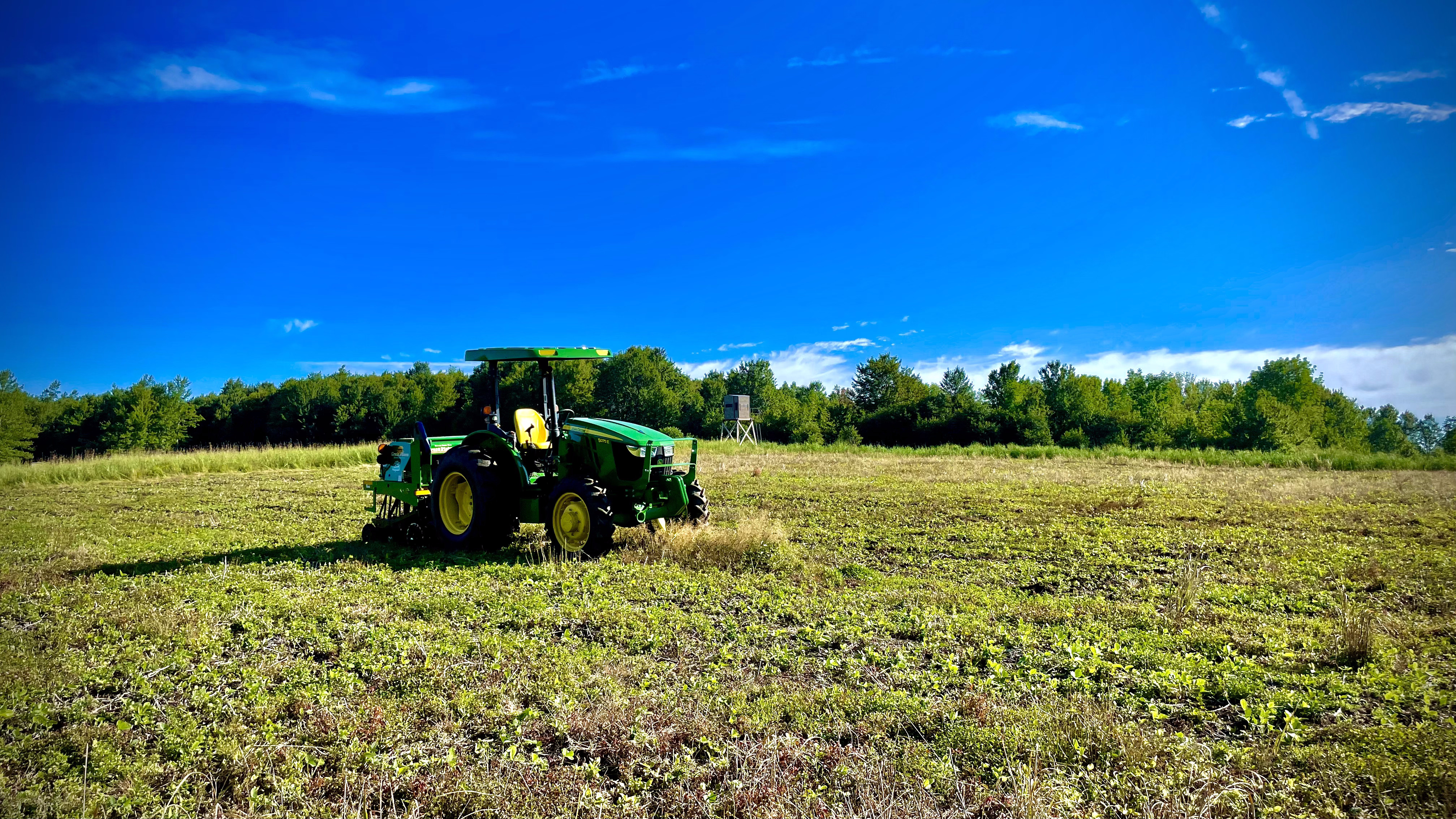 Food Plots